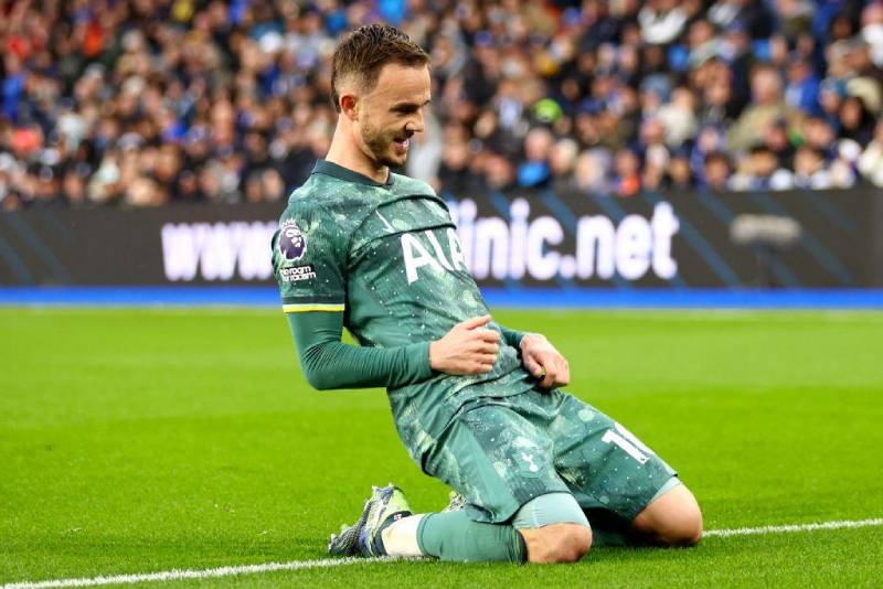 James Maddison – Ngọn lửa sáng của Tottenham